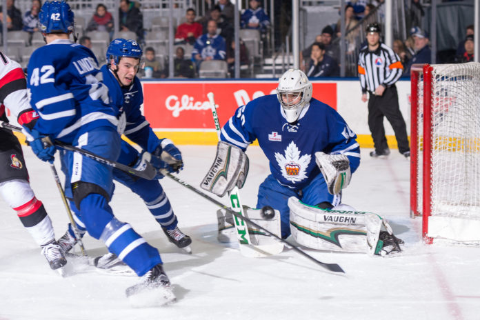 Ian Scott, goaltender for the Toronto Marlies Ian Scott, goaltender for the Toronto Marlies